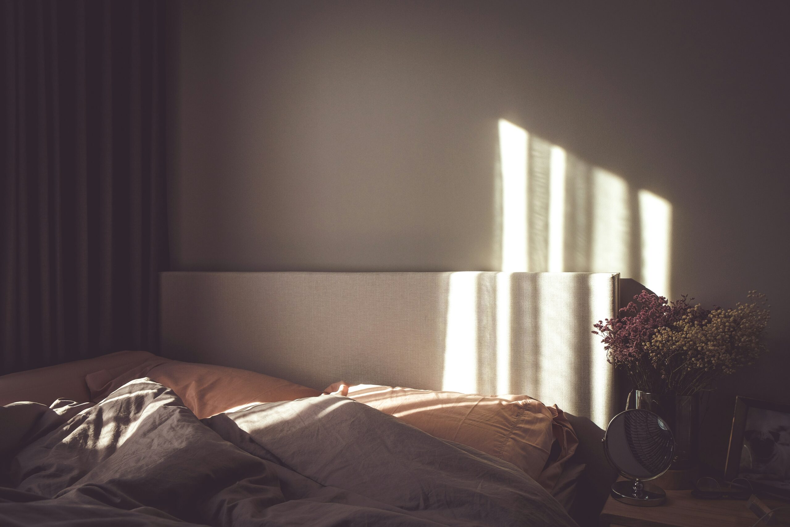 mink-mingle-8cOib7pidak-unsplash